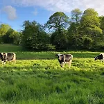 住宿加早餐酒店 Le Manoir De La Besliere - Et D'hotes Folligny