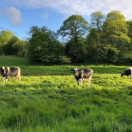 B&B Le Manoir De La Besliere - Et D'hotes Folligny