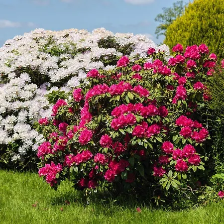 Le Manoir De La Besliere - Et D'hotes