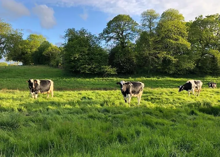 Bed and Breakfast Le Manoir De La Besliere - Et D'hotes Folligny