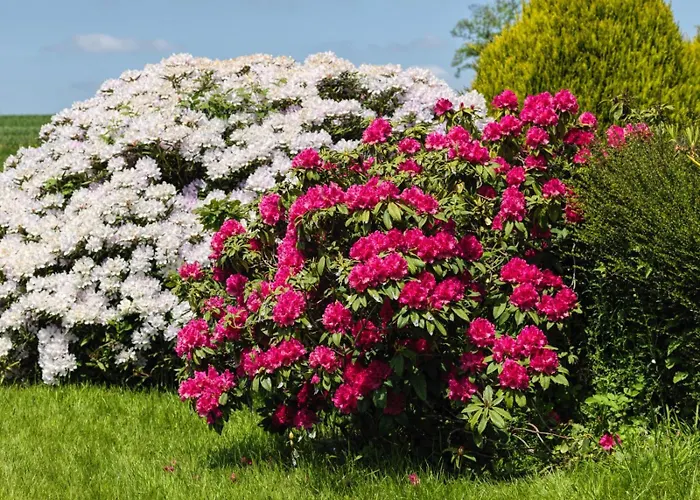 Le Manoir De La Beslière